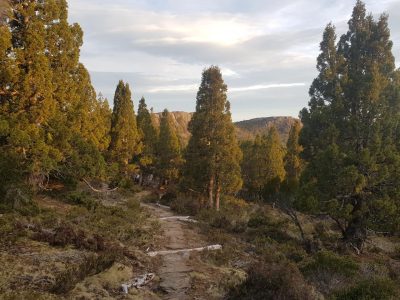IMG-20260605-WA0008