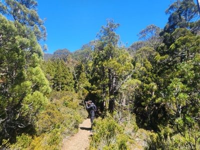 IMG-20260605-WA0012